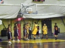 Basket 2009-43