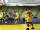 Basket 2009-74