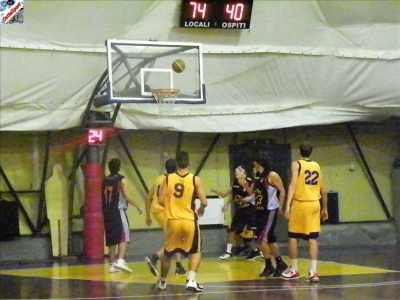 Basket 2009-28